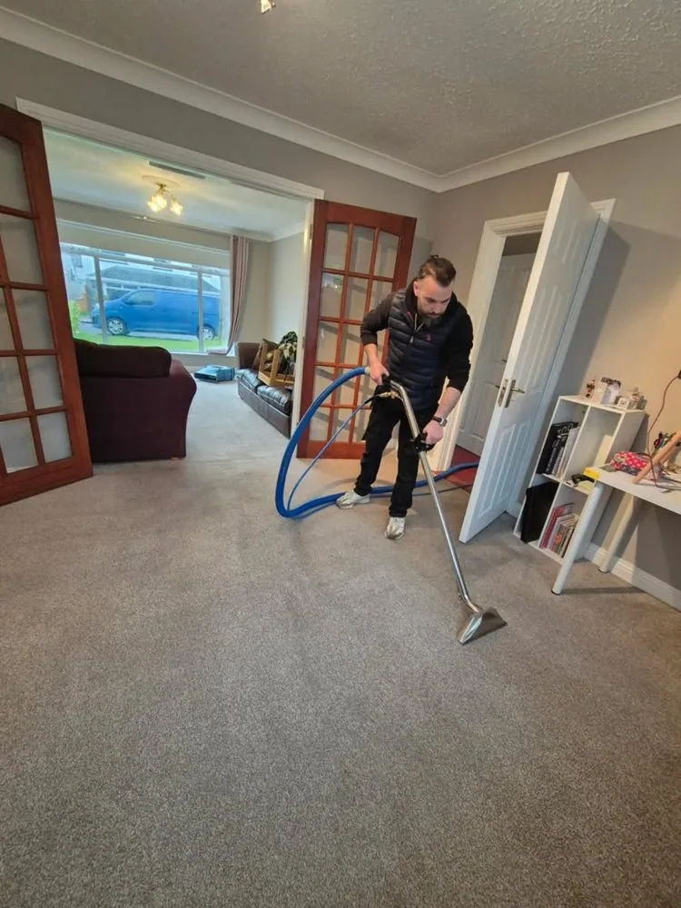 Carpet cleaning in progress